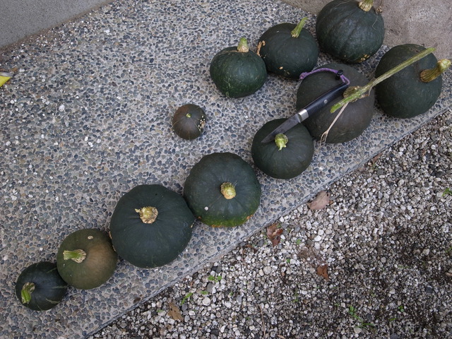 2012.10.06.R0015153.JPG
