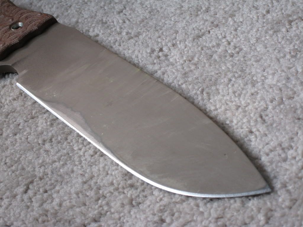 Picture445.jpg