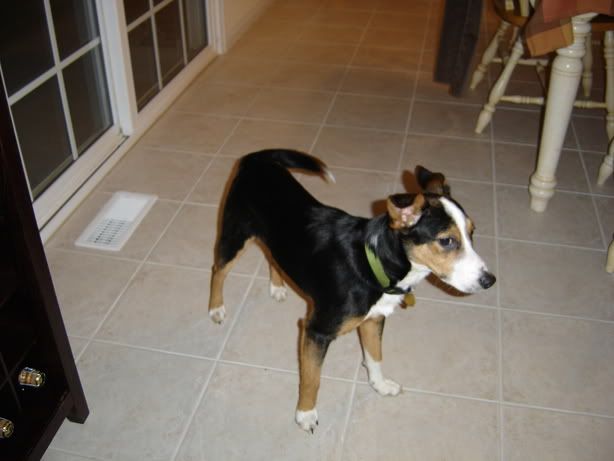 DSC00616.jpg