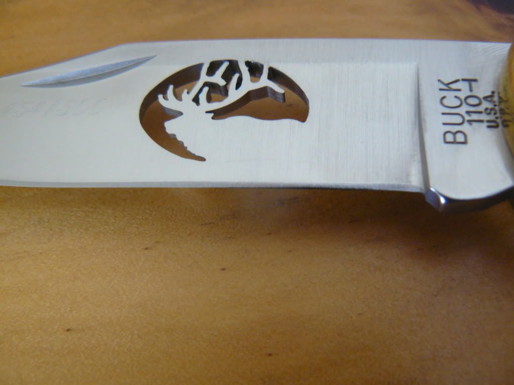 P1050076.jpg