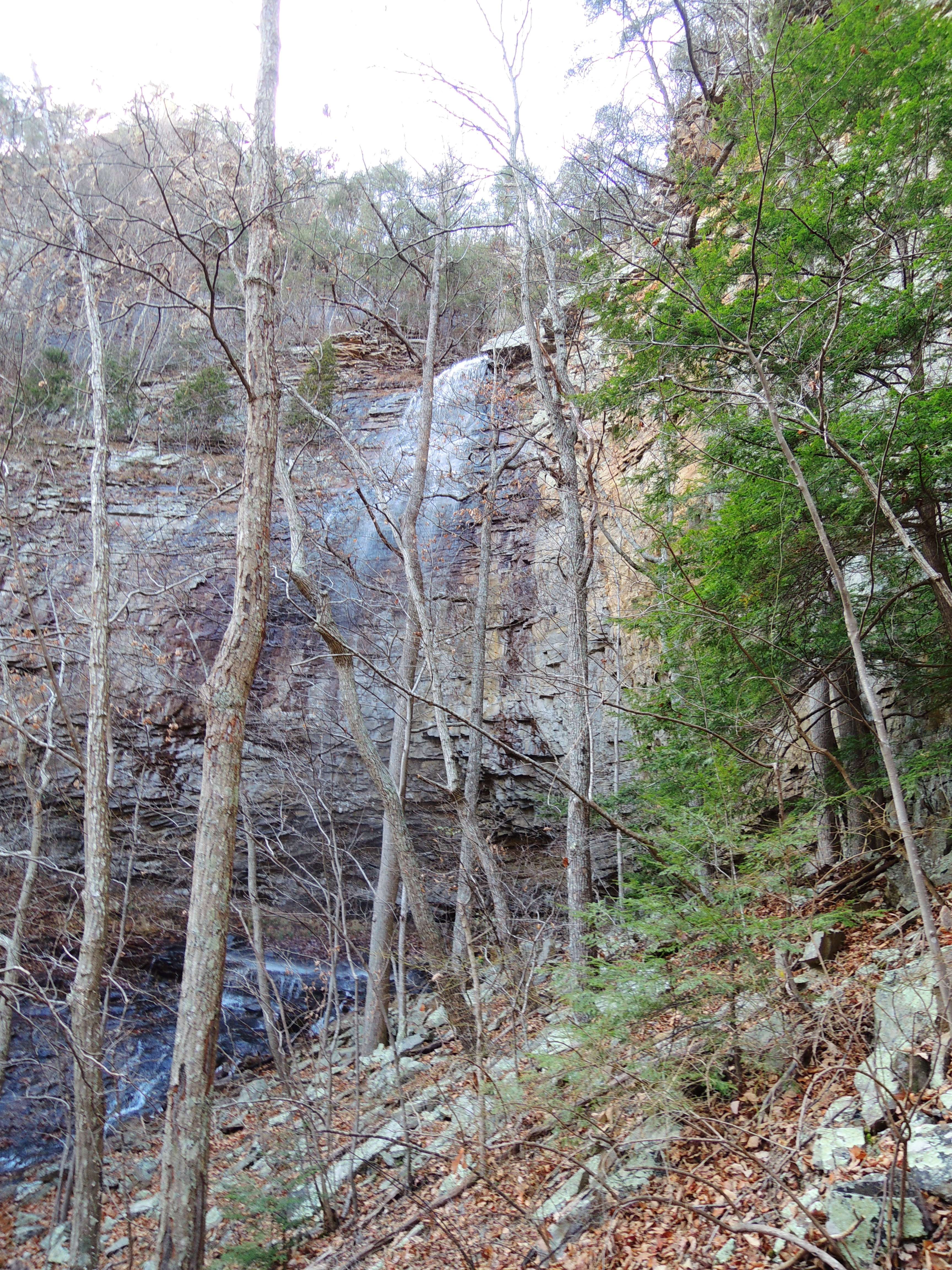 dscn4180q.jpg