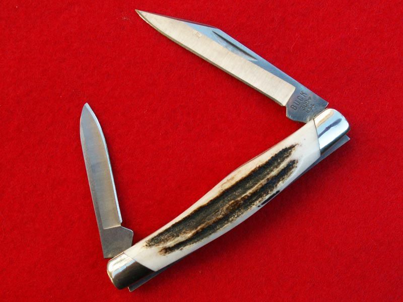Stag309b.jpg