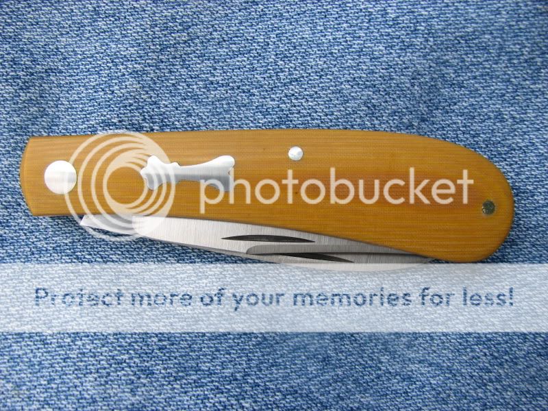 august2011005-1.jpg