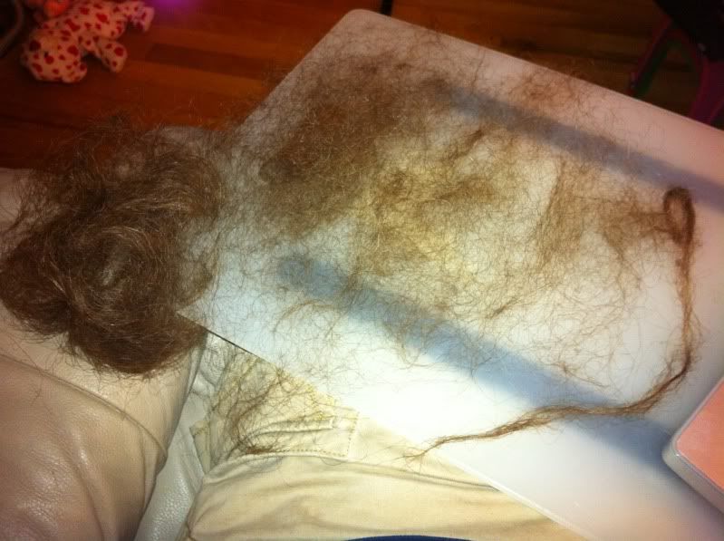 hair3.jpg