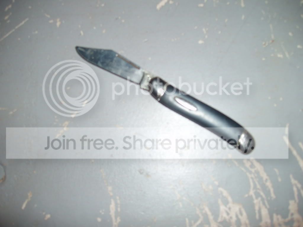 P1010102-1.jpg
