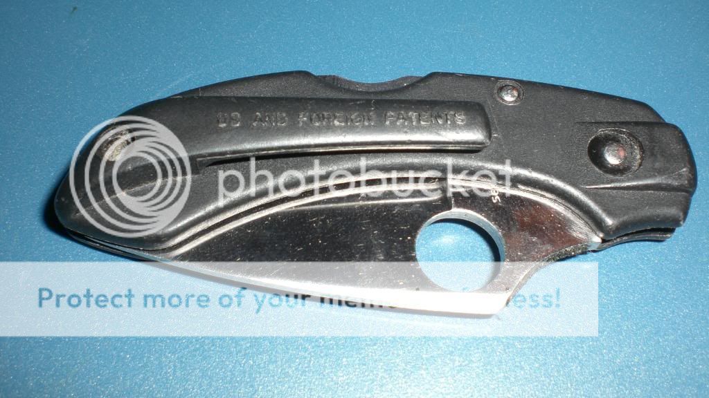 CIMG2318.jpg