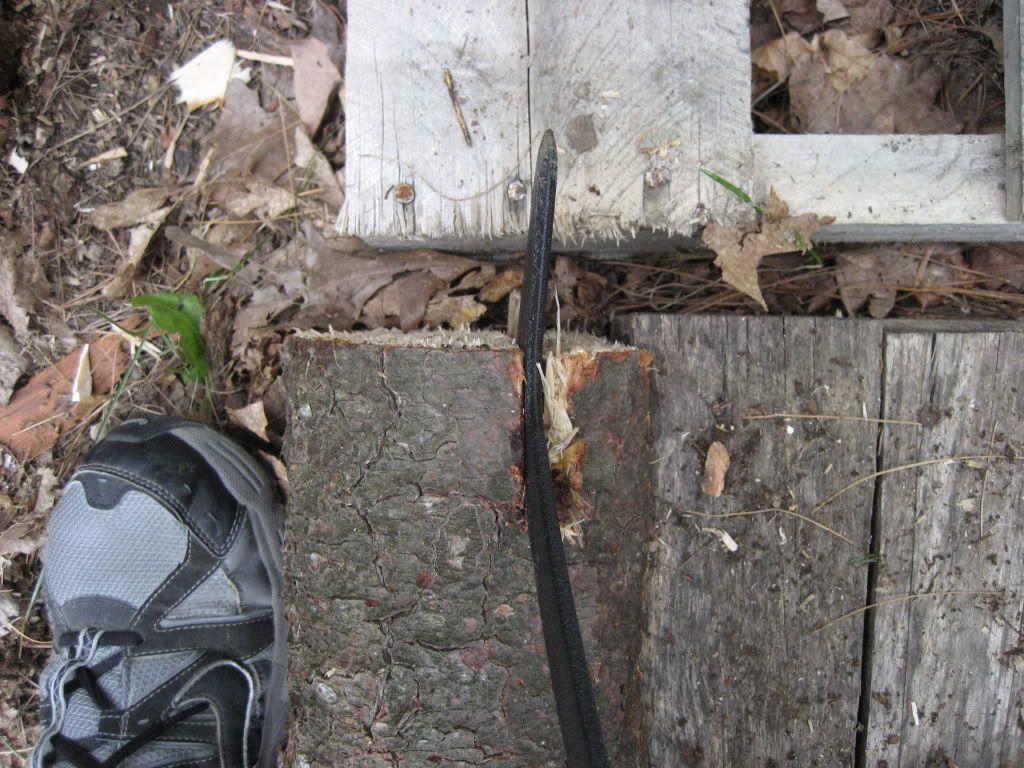 IMG_8532.jpg