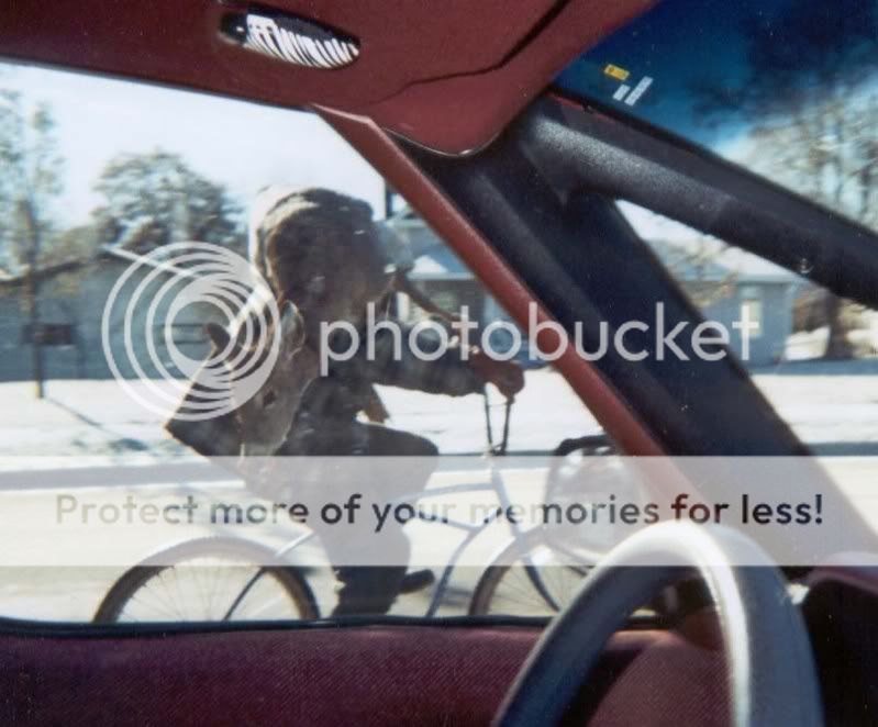 deer2.jpg