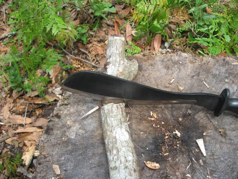 Goloks015.jpg