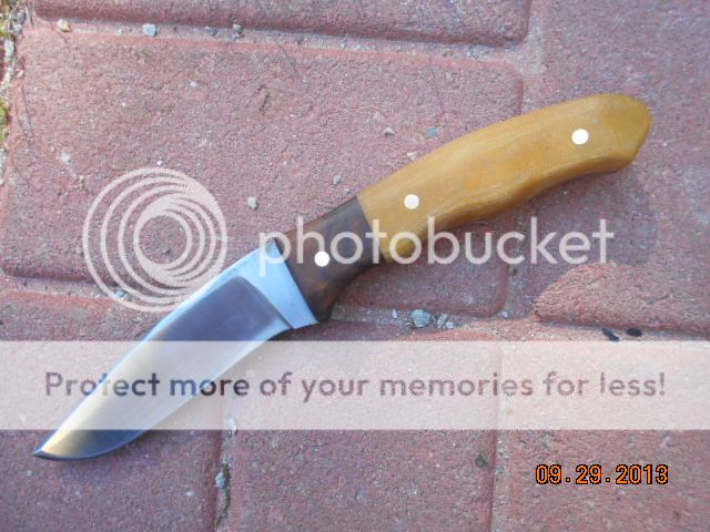 DSCN0237.jpg