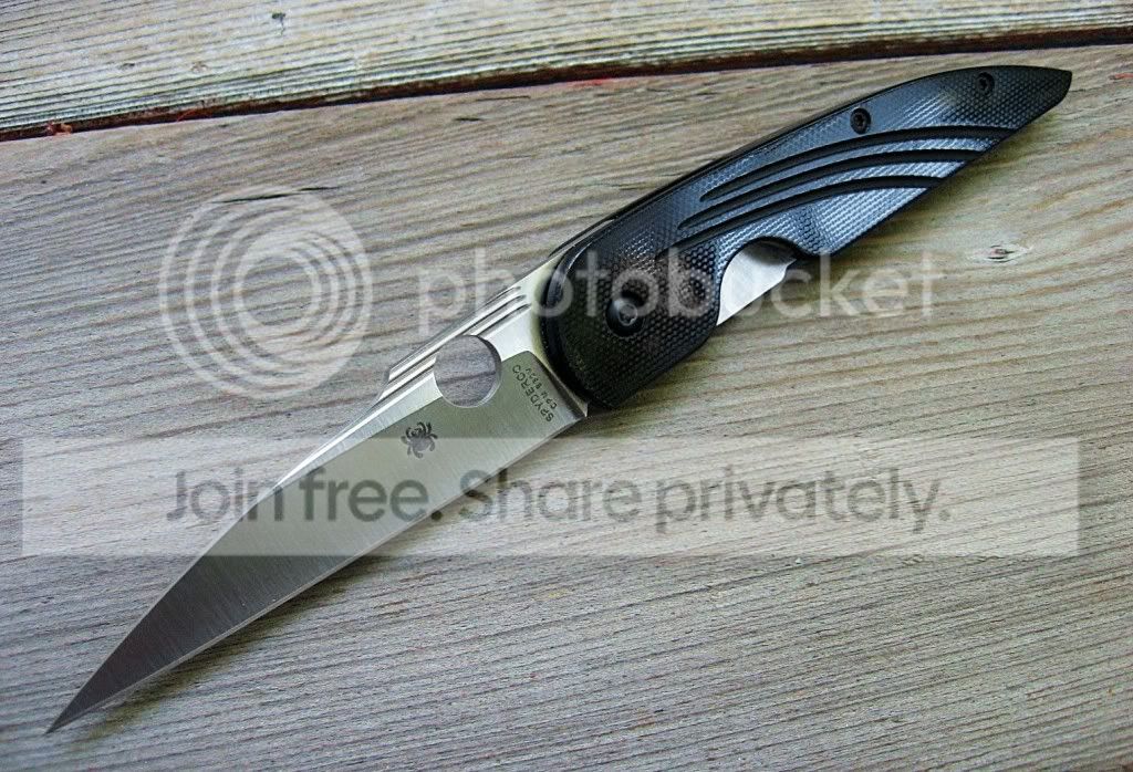 SpydercoDesHorn01.jpg