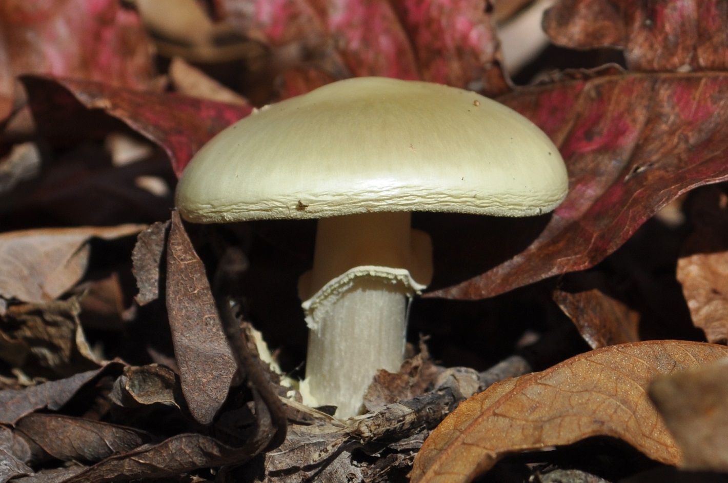 B_45_zps91ed5948.jpg
