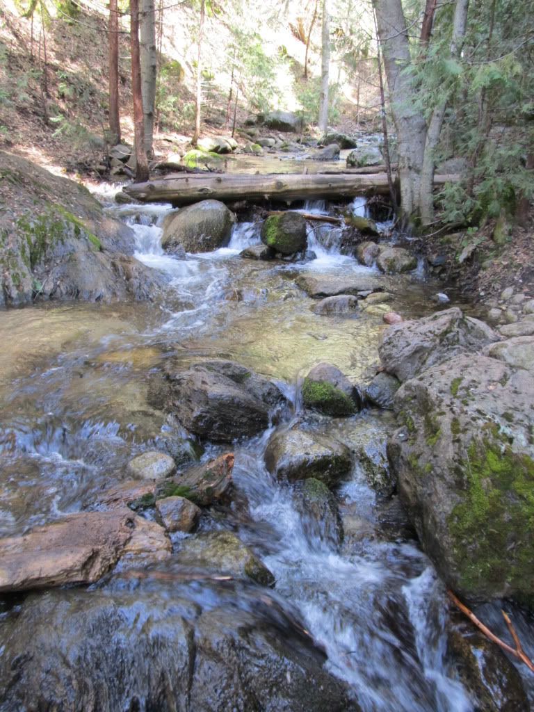 IMG_0977.jpg
