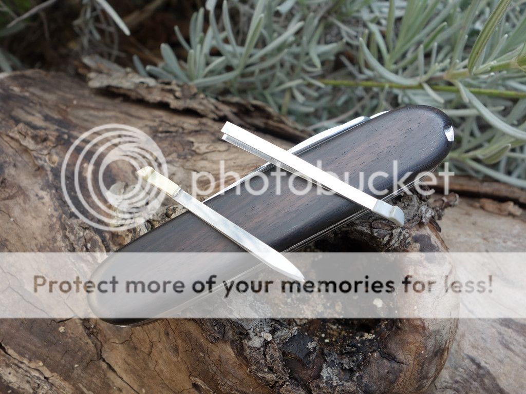 SAK_08_small_zpsenpc3ogr.jpg