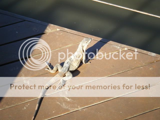 DSCF2400.jpg