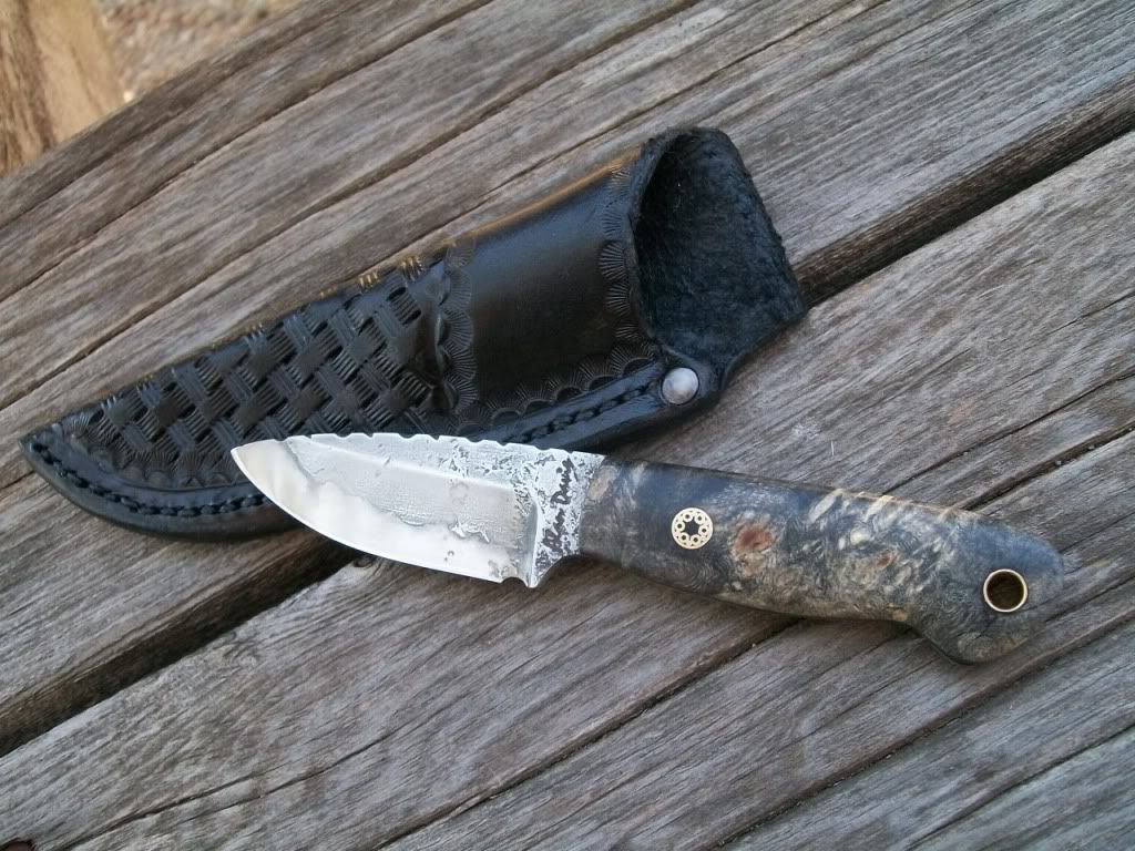 smallbuckeye023.jpg