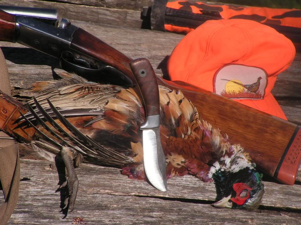 verytightKPHpheasant.jpg