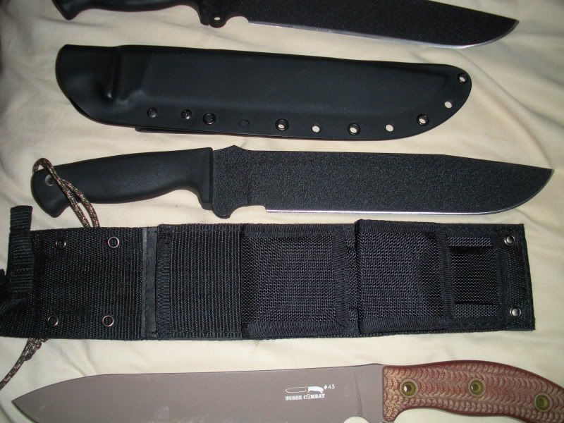 DSCN0216.jpg