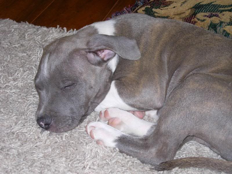 DSCN5211.jpg