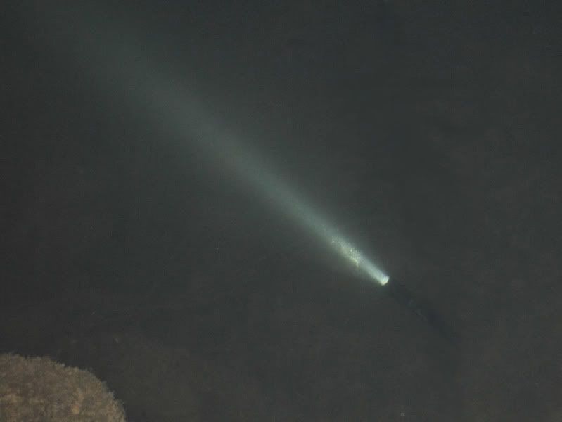 DSC_5123.jpg