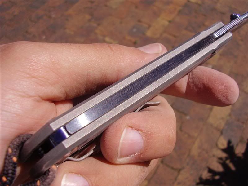 P7280004Medium.jpg