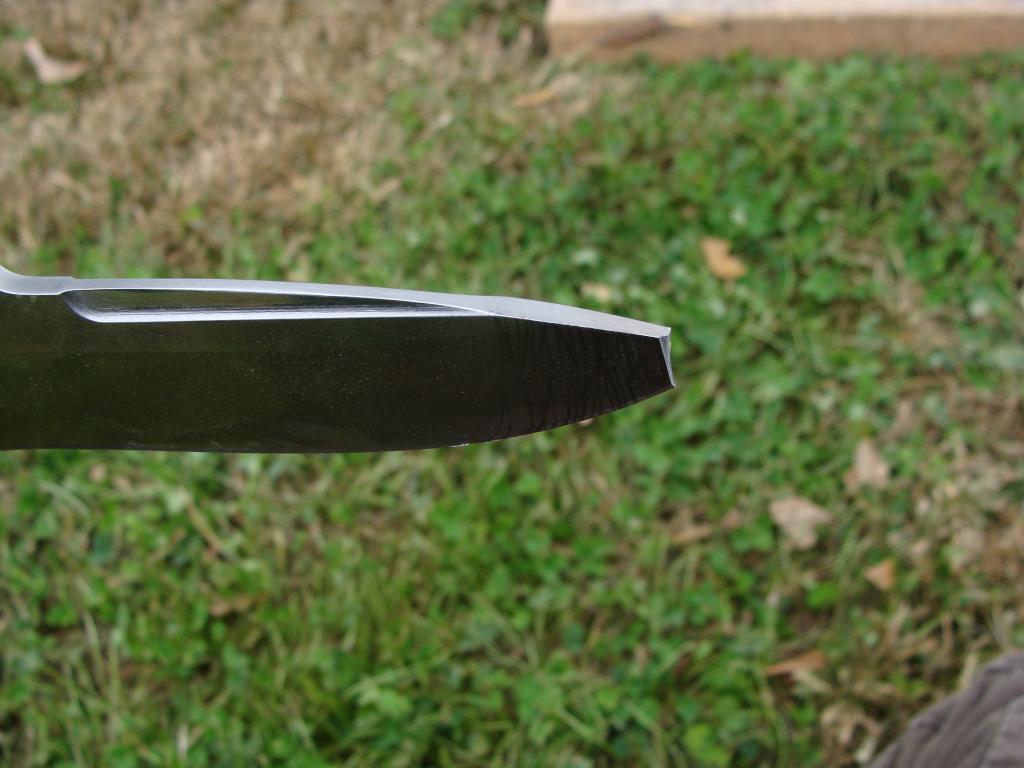 zru53lL.jpg