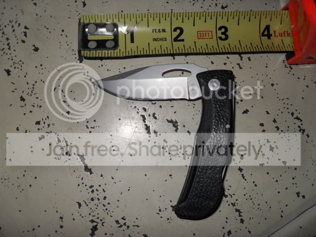 SDC12406.jpg