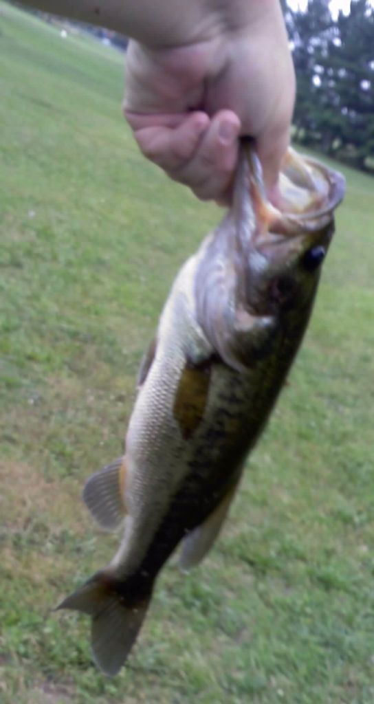 0708121409.jpg