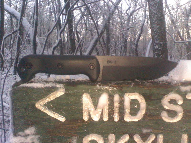 img041.jpg