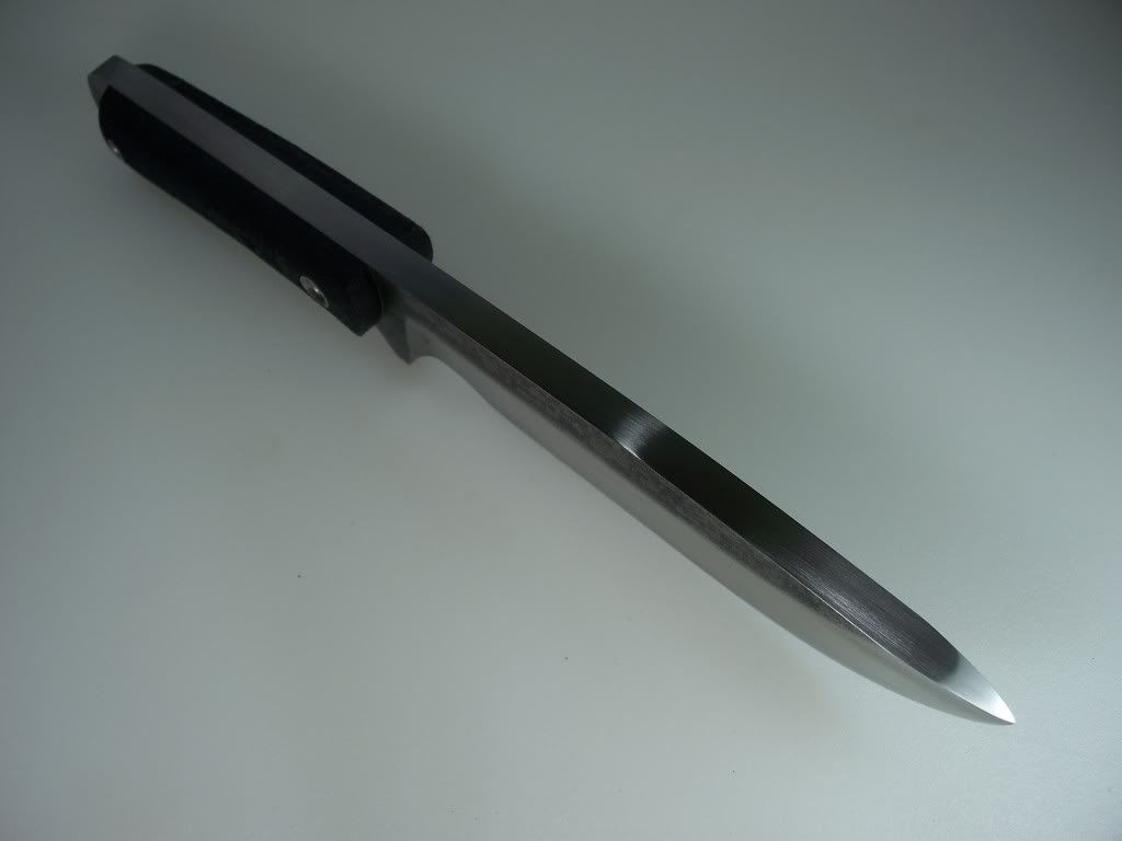 176.jpg