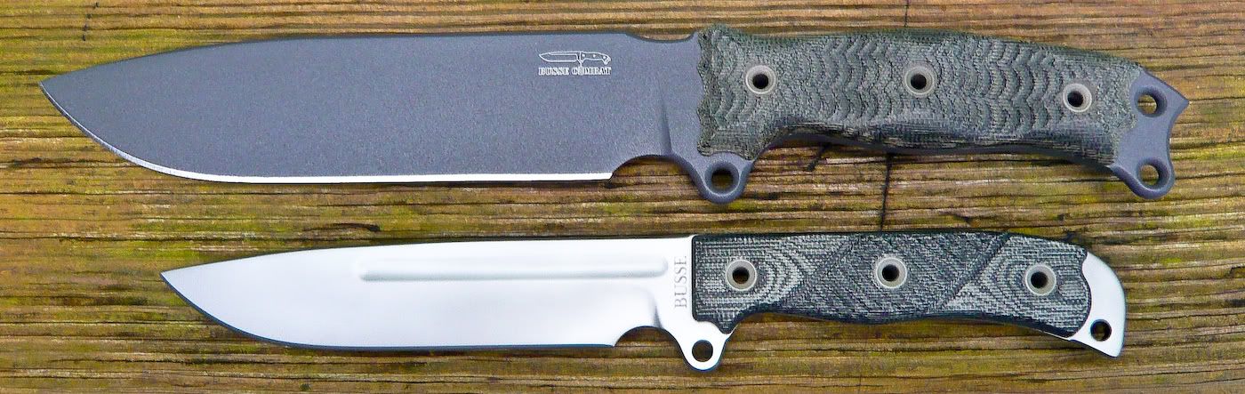 Busse_NMSFNO-BSSJ.jpg