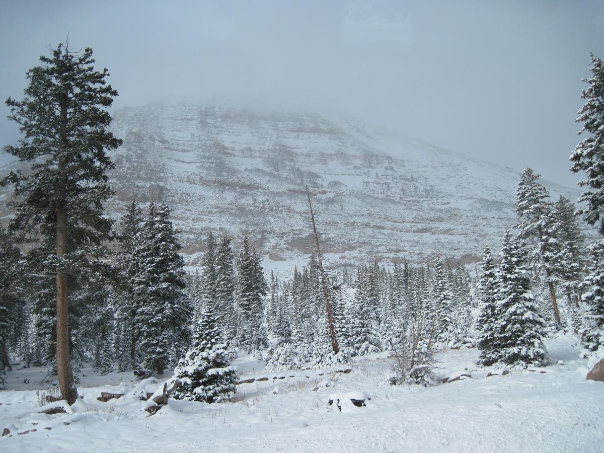 10208569746_d45a42a229_o.jpg