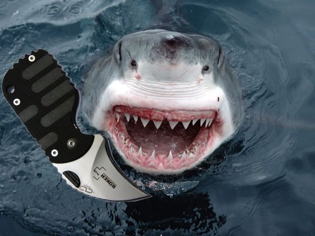 subshark1.jpg