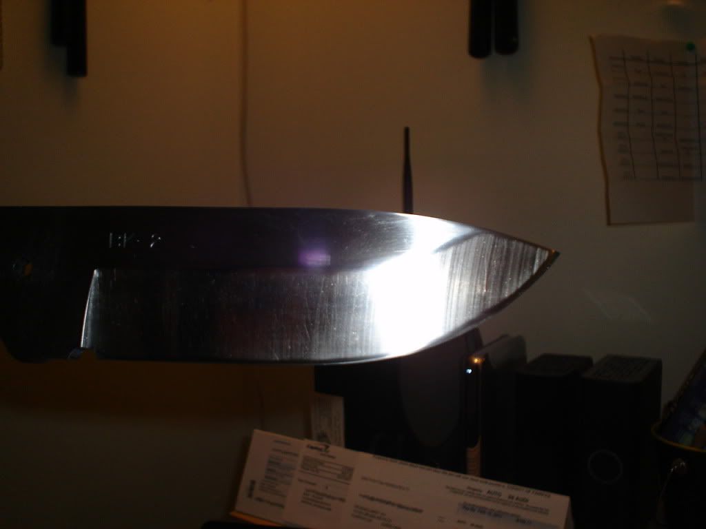 DSC01582.jpg