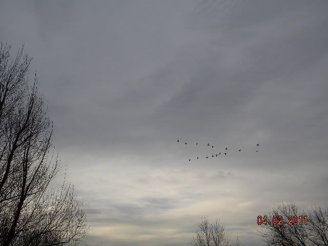 DSCN3543.jpg