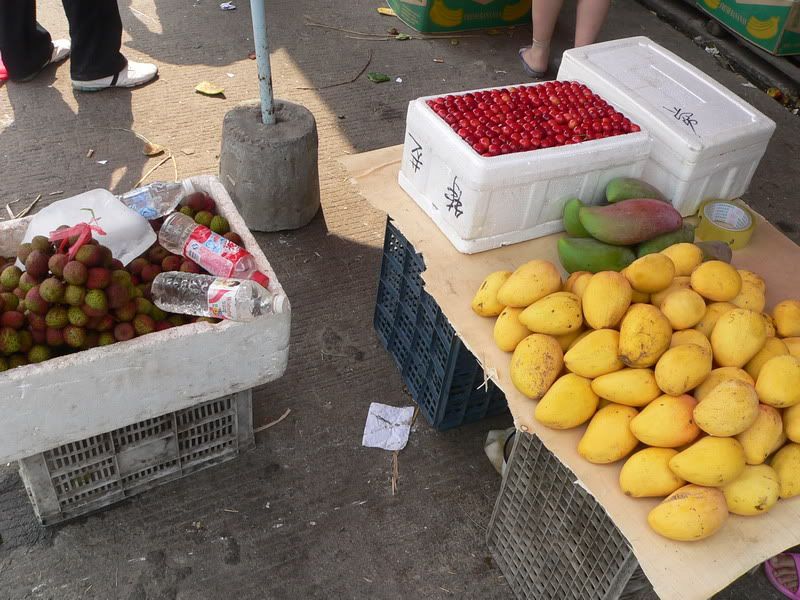 P1400826.jpg