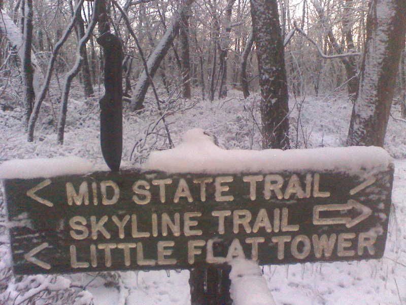 img038.jpg