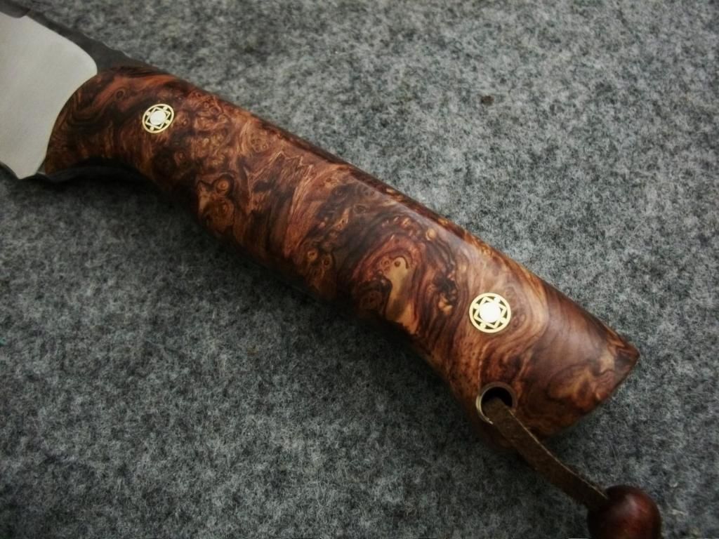 CAMPY107.jpg