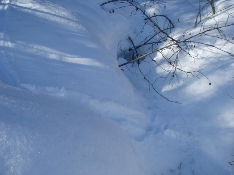 begbiewalk009.jpg