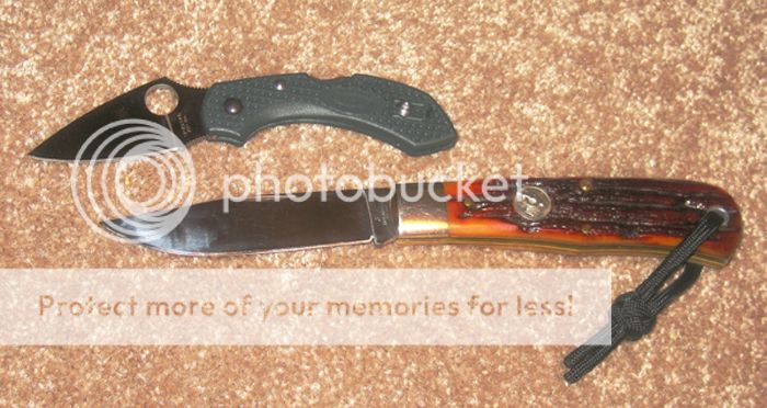 IMG_1382copy_zpsc42ff8bd.jpg