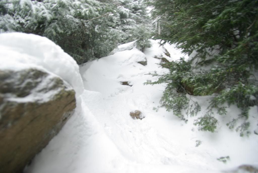 MtLafayette103.jpg