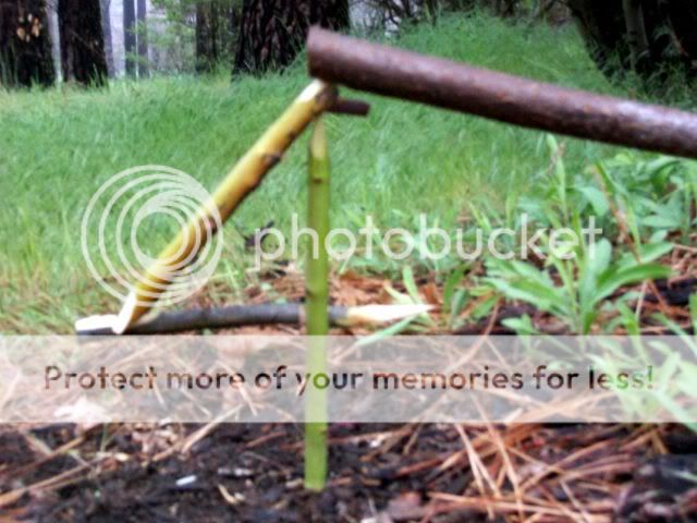 100_3815.jpg