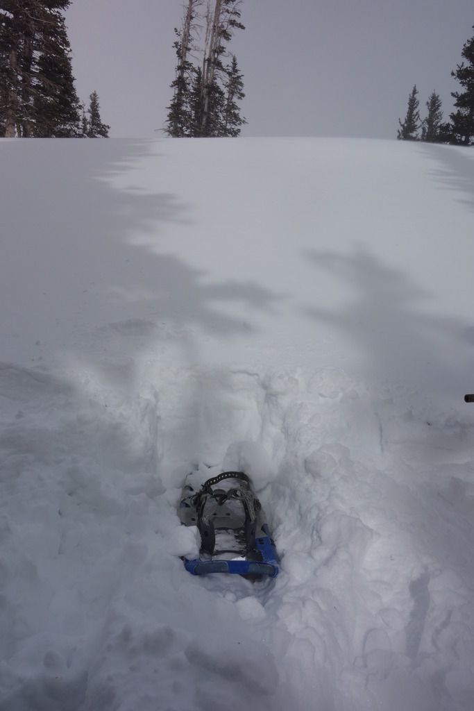 DSC02587_zps51vcnfre.jpg