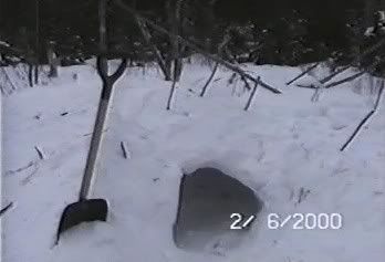 CWD.jpg