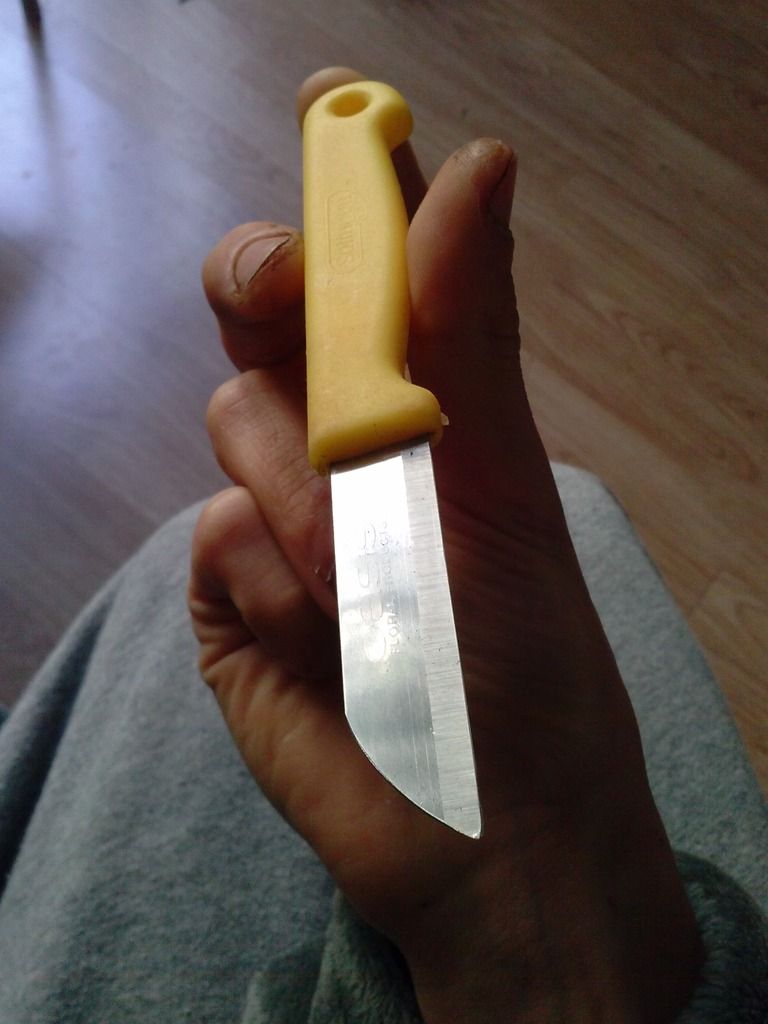 CAM01389_zpsewqagcoj.jpg