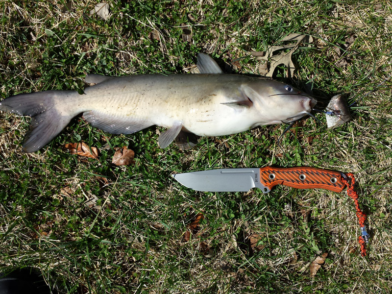 Busse_SwatManDu_Fishing_002.jpg
