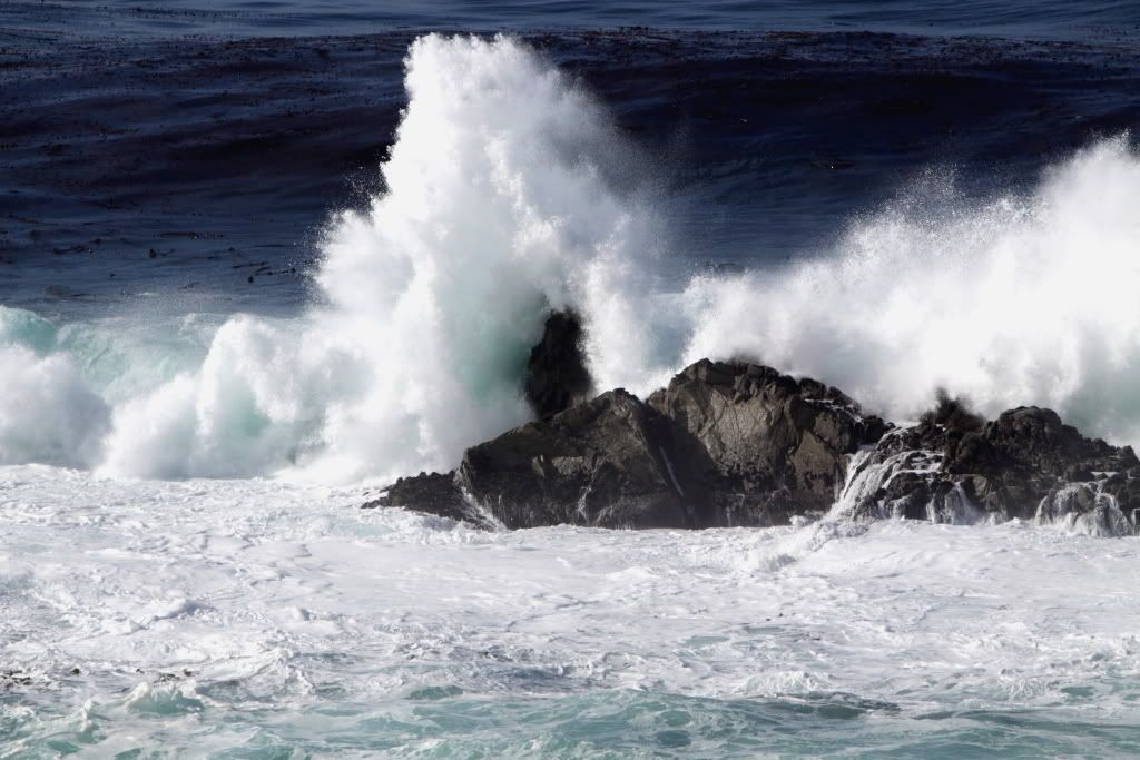 MFBigSur001.jpg
