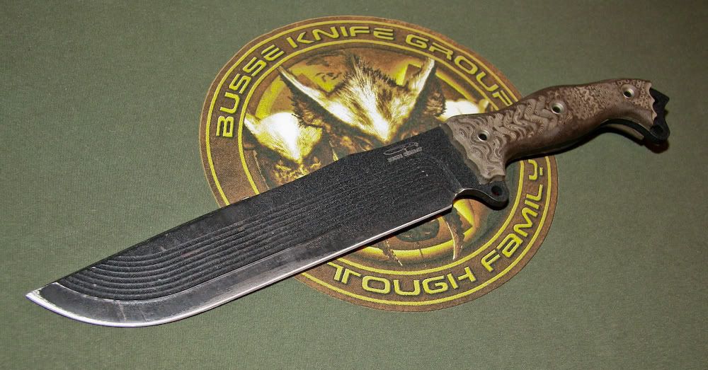 Busse-CGFBM_User12-2012.jpg