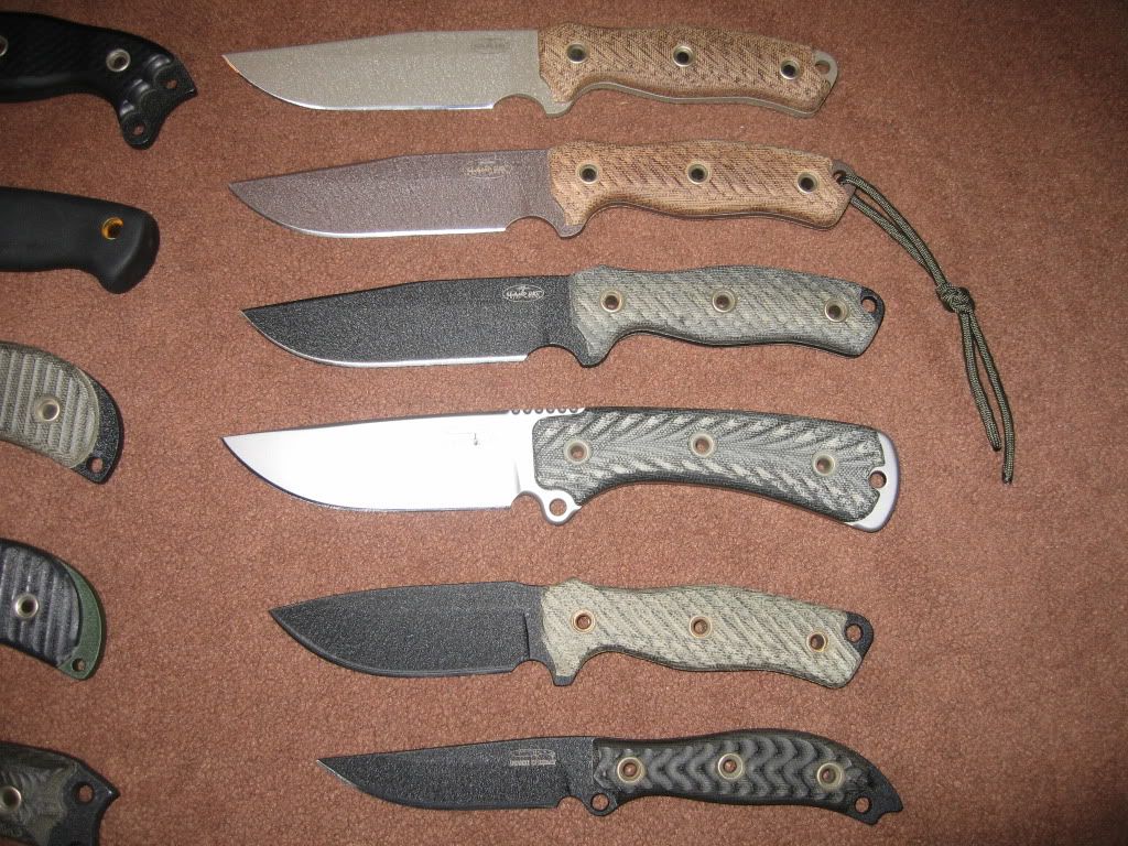 BrownTrout2013.jpg