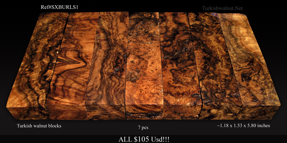 Refsxburls1a.jpg